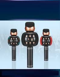 WS-858 Wireless Karaoke Microphone (ميكروفون كاريوكي لاسلكي WS-858)