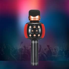 WS-858 Wireless Karaoke Microphone (ميكروفون كاريوكي لاسلكي WS-858)